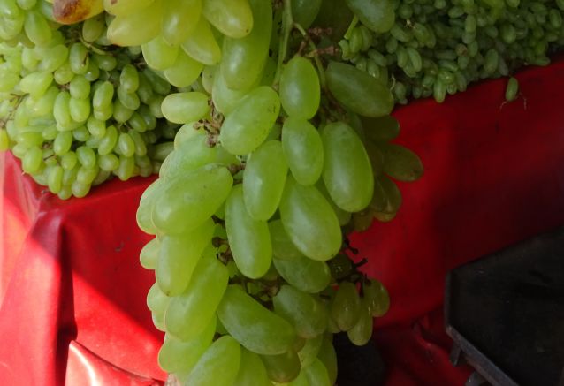 Hyderabad